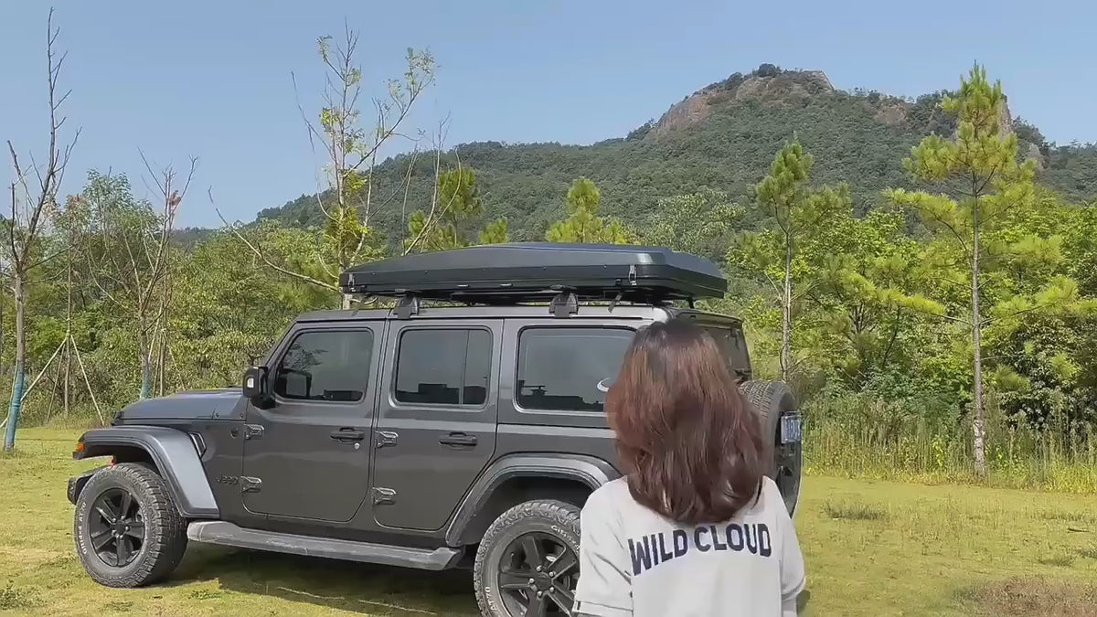 Vidéo